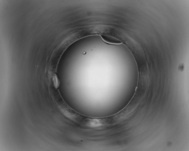 X0000102340091200808011151