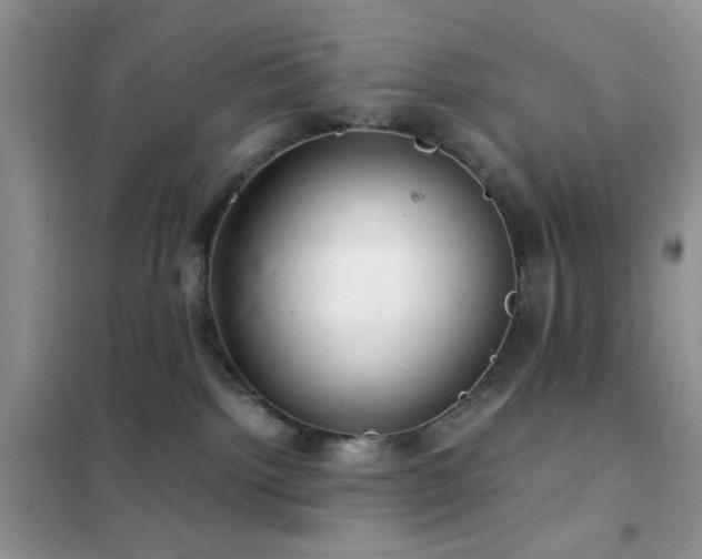 X0000102340092200808011151