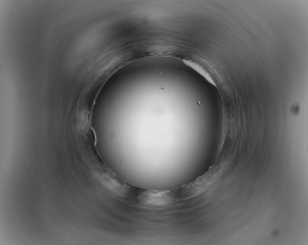 X0000102340093200808011151