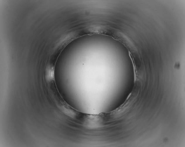 X0000102340095200808011151