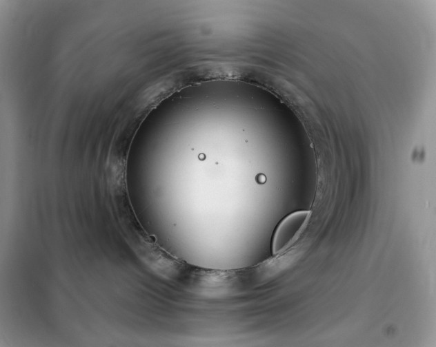 X0000102340096200808011151