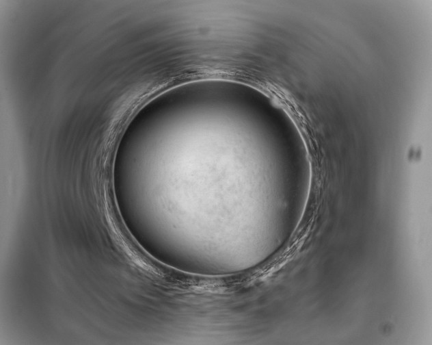 X0000102340097200808011150