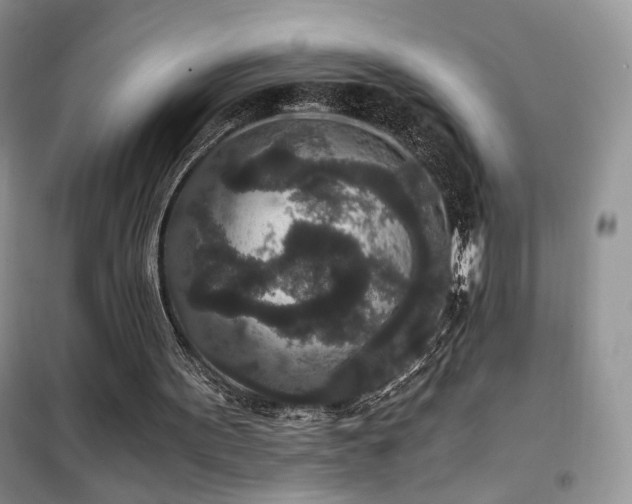 X0000102340099200808011150