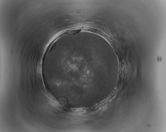 X0000102340100200808011150