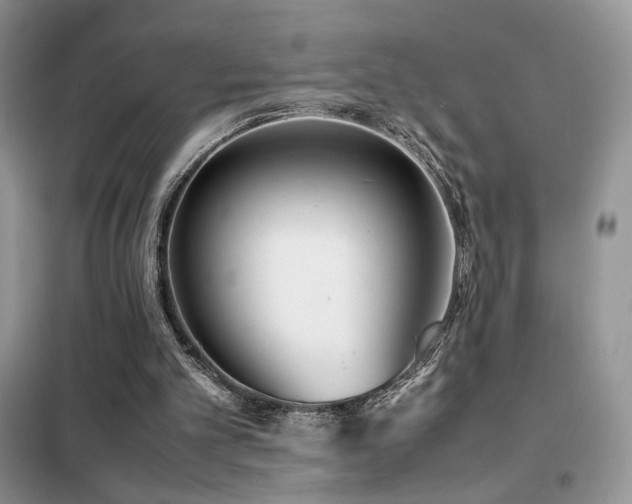 X0000102340101200808011150