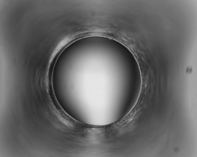 X0000102340102200808011150