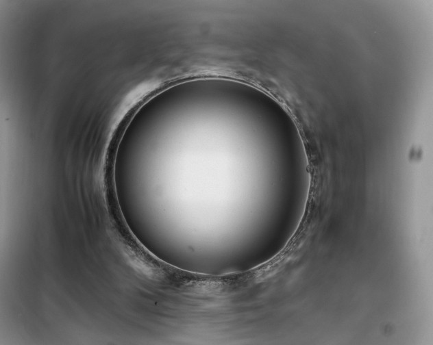 X0000102340104200808011150