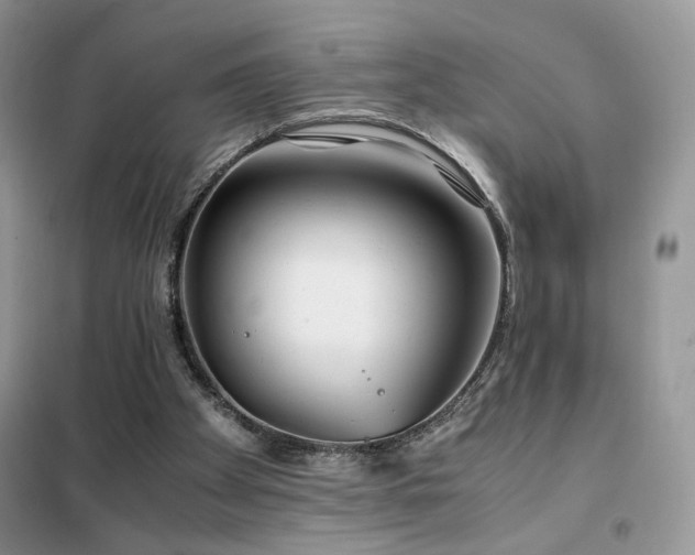 X0000102340105200808011150