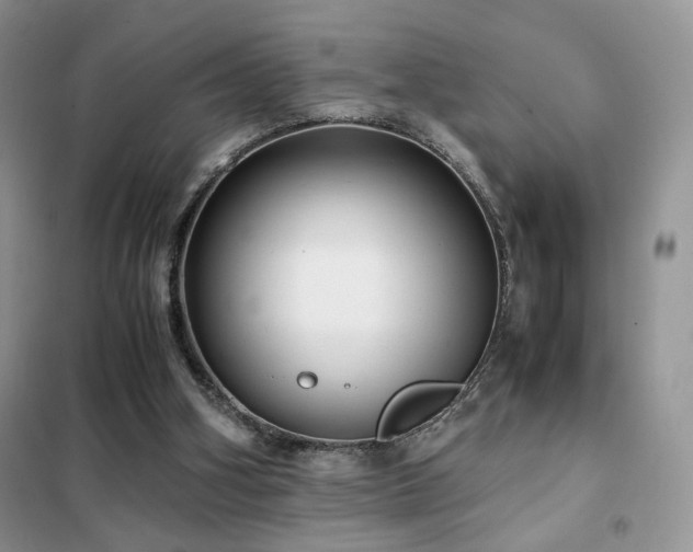 X0000102340106200808011150