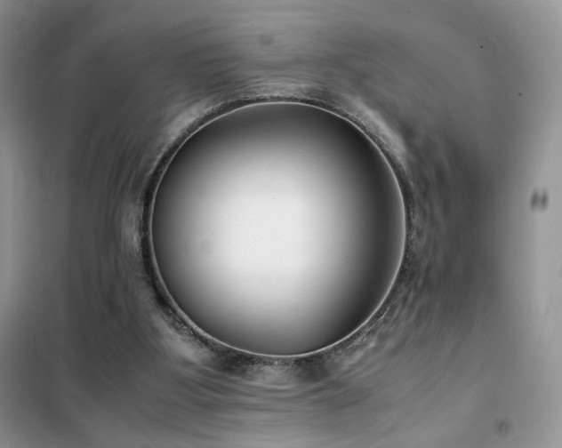 X0000102340107200808011150