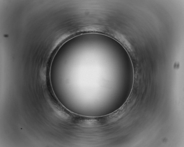 X0000102340108200808011150