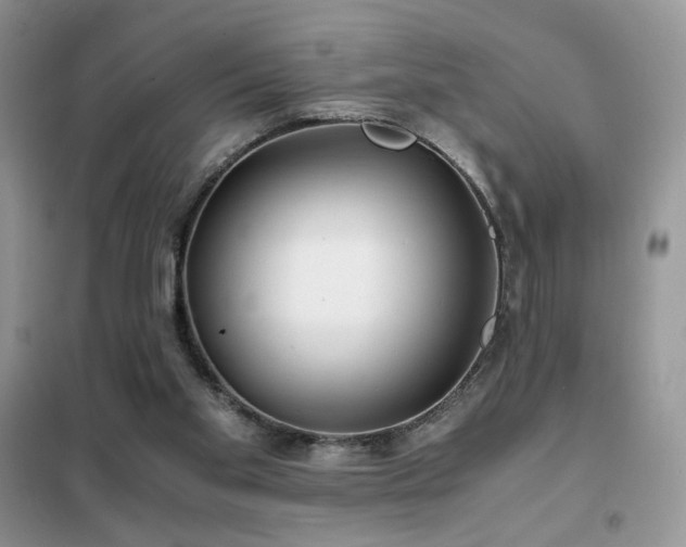 X0000102340109200808011150