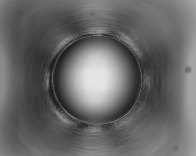 X0000102340110200808011150