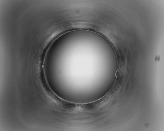 X0000102340111200808011150