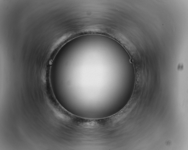 X0000102340112200808011150