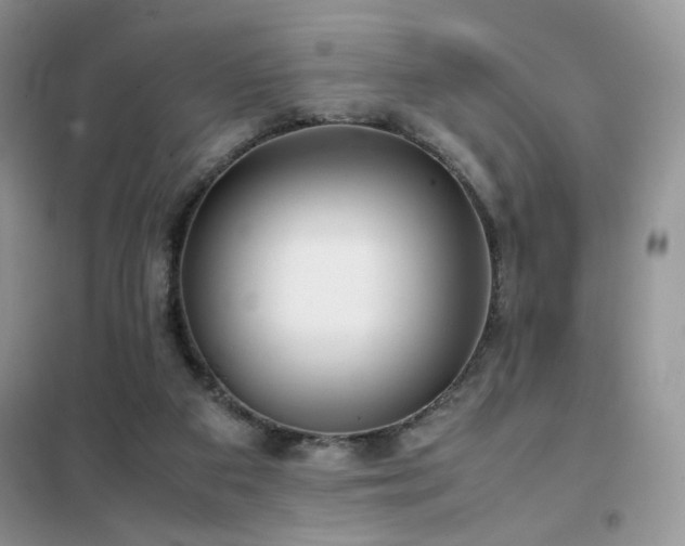 X0000102340113200808011150