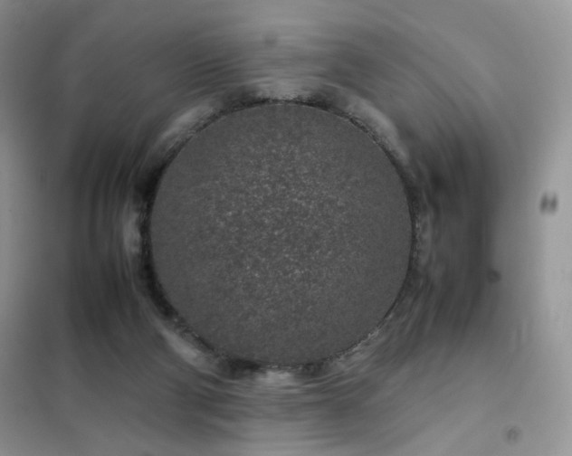 X0000102340114200808011150