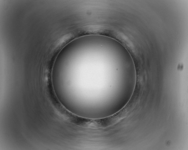 X0000102340115200808011150