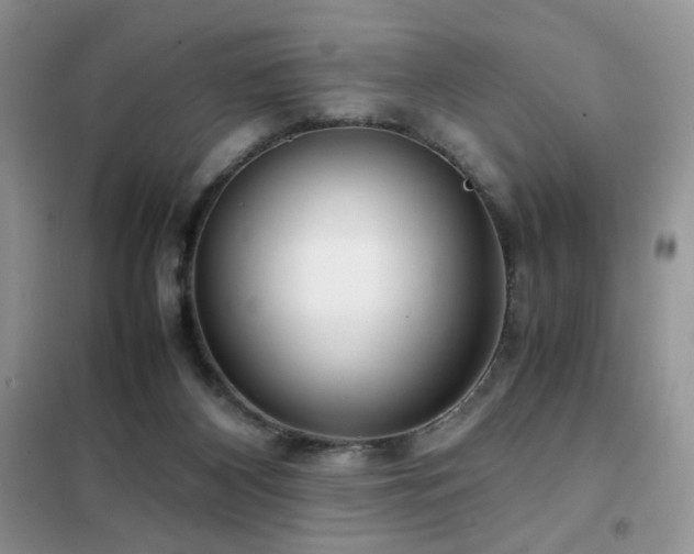 X0000102340116200808011150