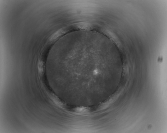 X0000102340117200808011150