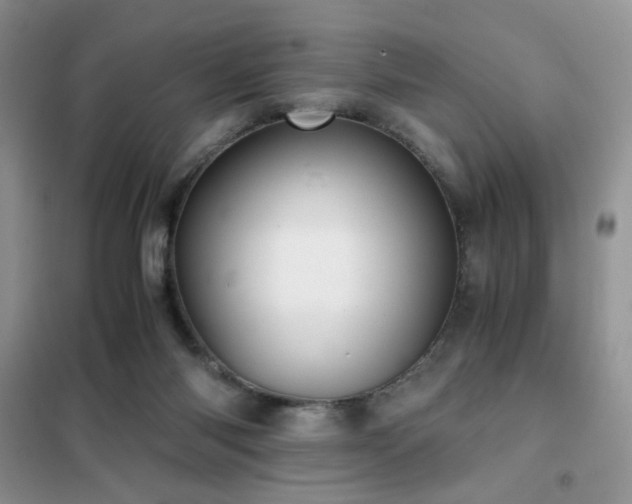 X0000102340118200808011150