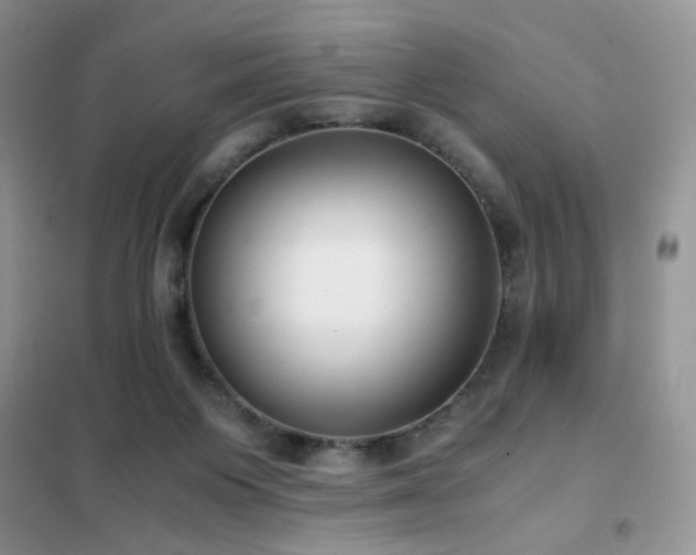 X0000102340119200808011150