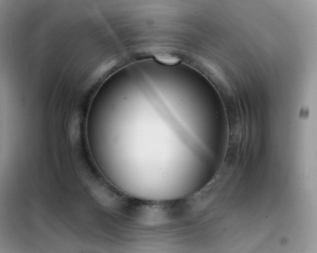 X0000102340120200808011150