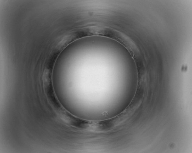 X0000102340121200808011150