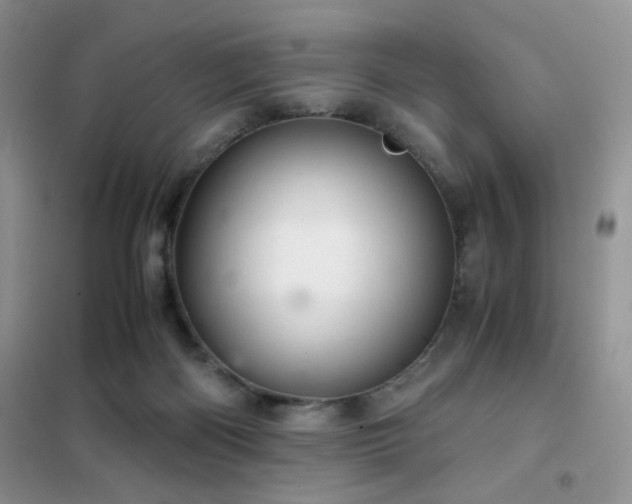 X0000102340122200808011150