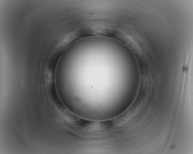 X0000102340123200808011150