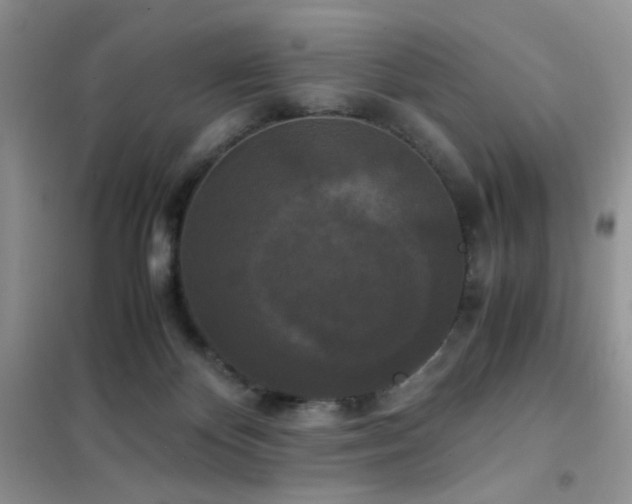 X0000102340124200808011150