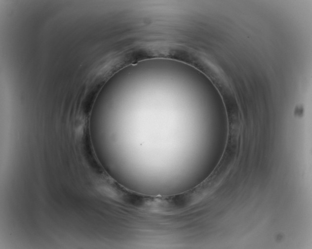 X0000102340125200808011150