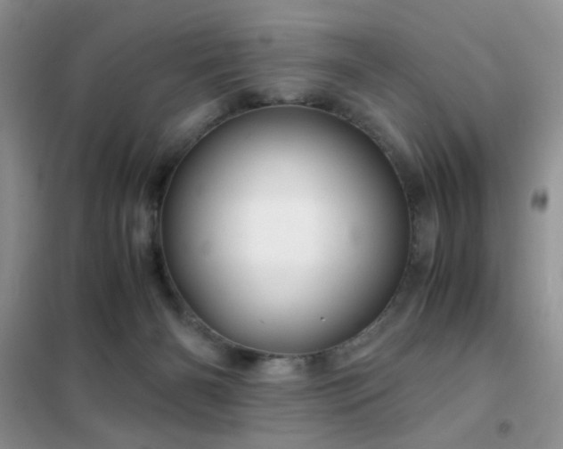 X0000102340126200808011150