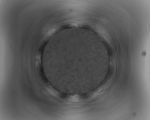 X0000102340127200808011150