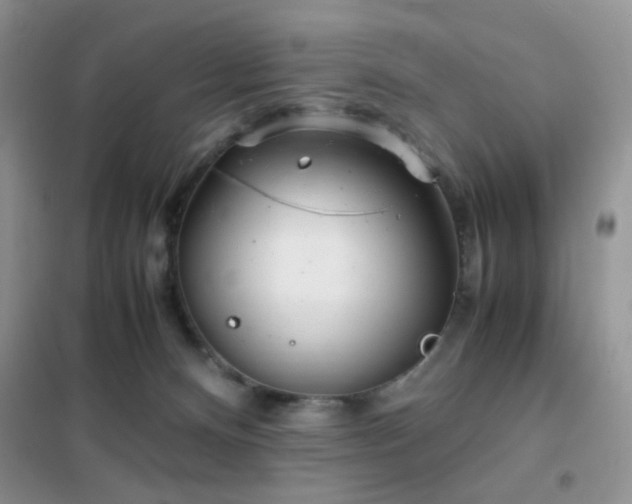 X0000102340128200808011150