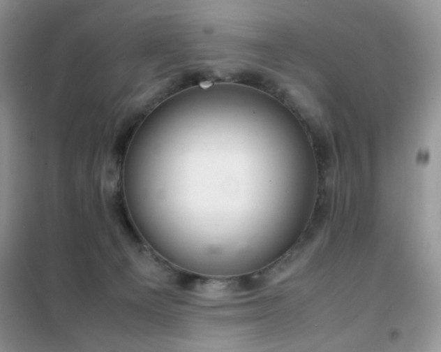 X0000102340129200808011150