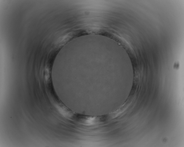 X0000102340130200808011150