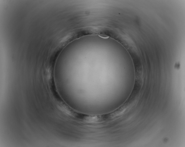 X0000102340131200808011149