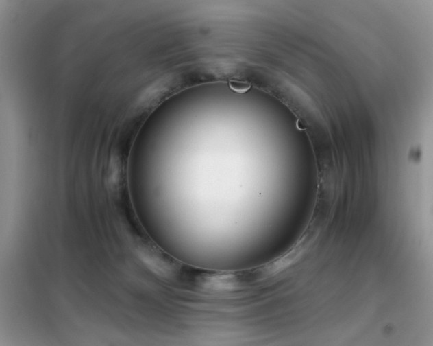 X0000102340132200808011149