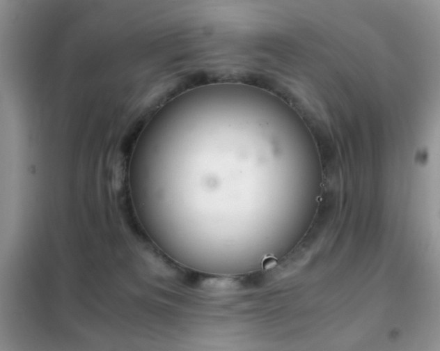 X0000102340133200808011149