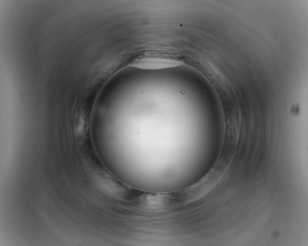 X0000102340134200808011149