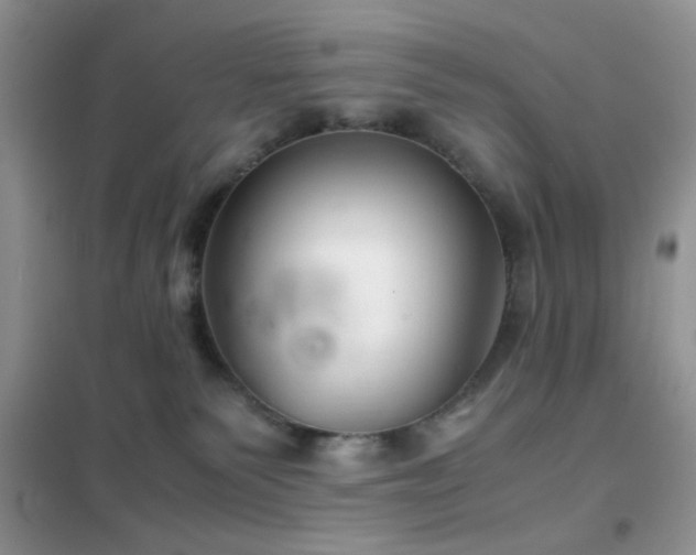 X0000102340135200808011149