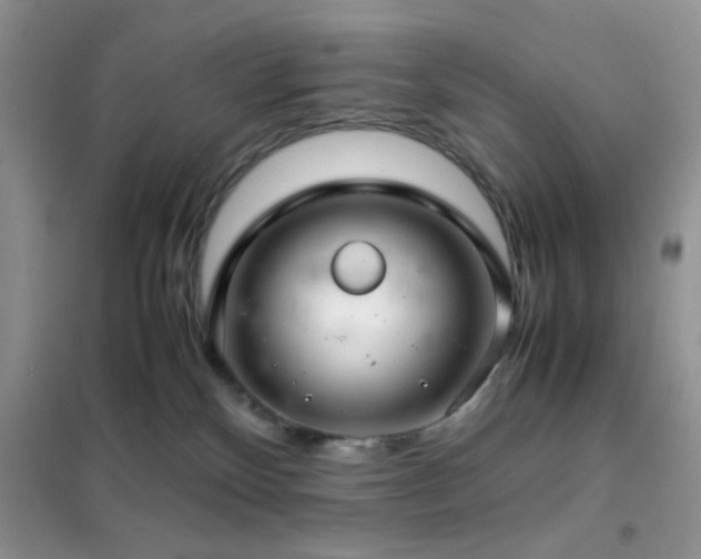 X0000102340136200808011149