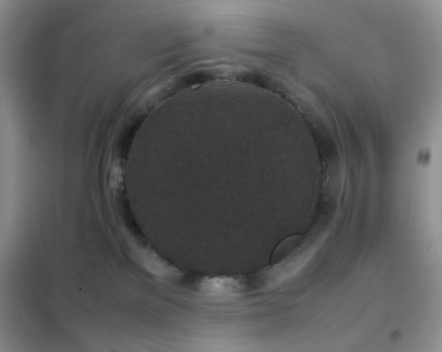 X0000102340137200808011149