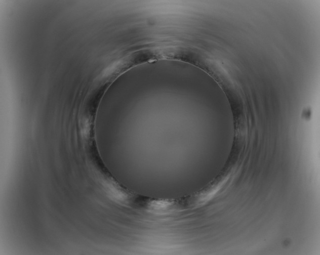 X0000102340139200808011149