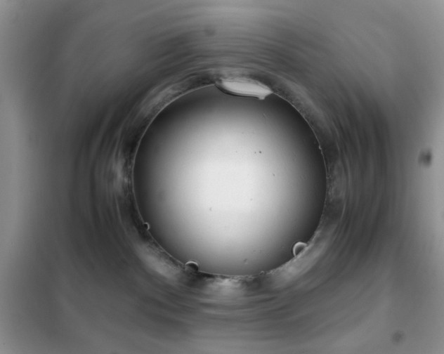 X0000102340140200808011149