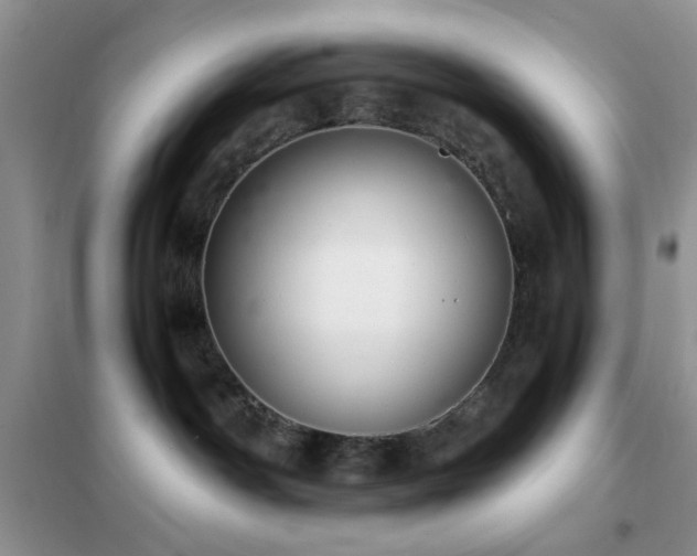 X0000102340142200808011149