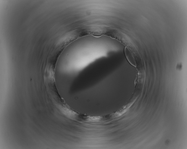 X0000102340143200808011149