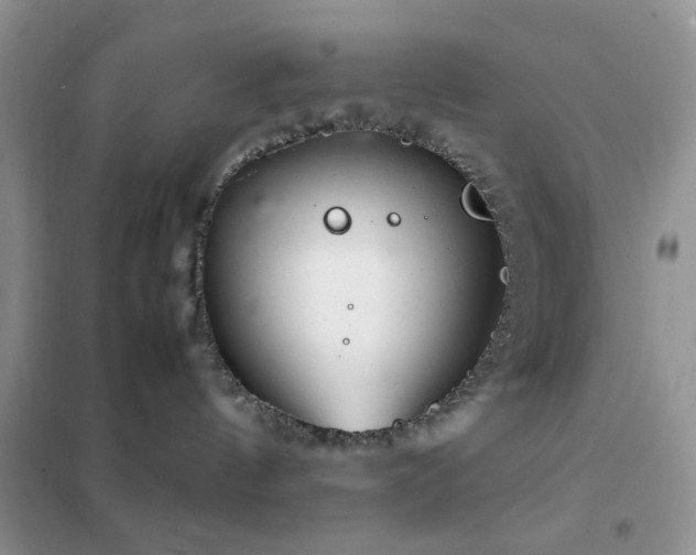 X0000102340144200808011149