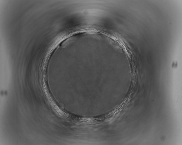 X0000102340145200808011148